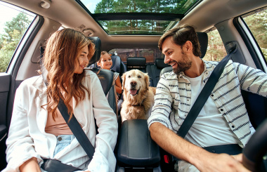 How Much is State Farm Car Insurance? 