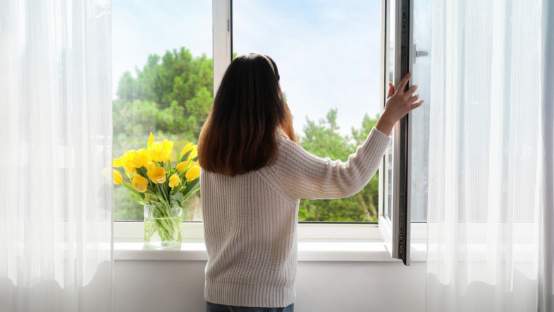 Window Renewal 101: The Benefits of Upgrading Your Windows